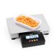 Gram Platformweegschaal met rvs weegplateau 150 kg x 20g