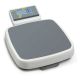 (37x37cm)  KERN MPD Personenweegschaal 250 Kg