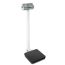 (32x30 cm) KERN MPB-P Personenweegschaal 300 Kg